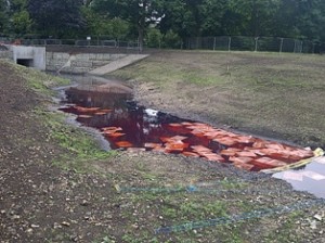Wandle red-diesel-spill1
